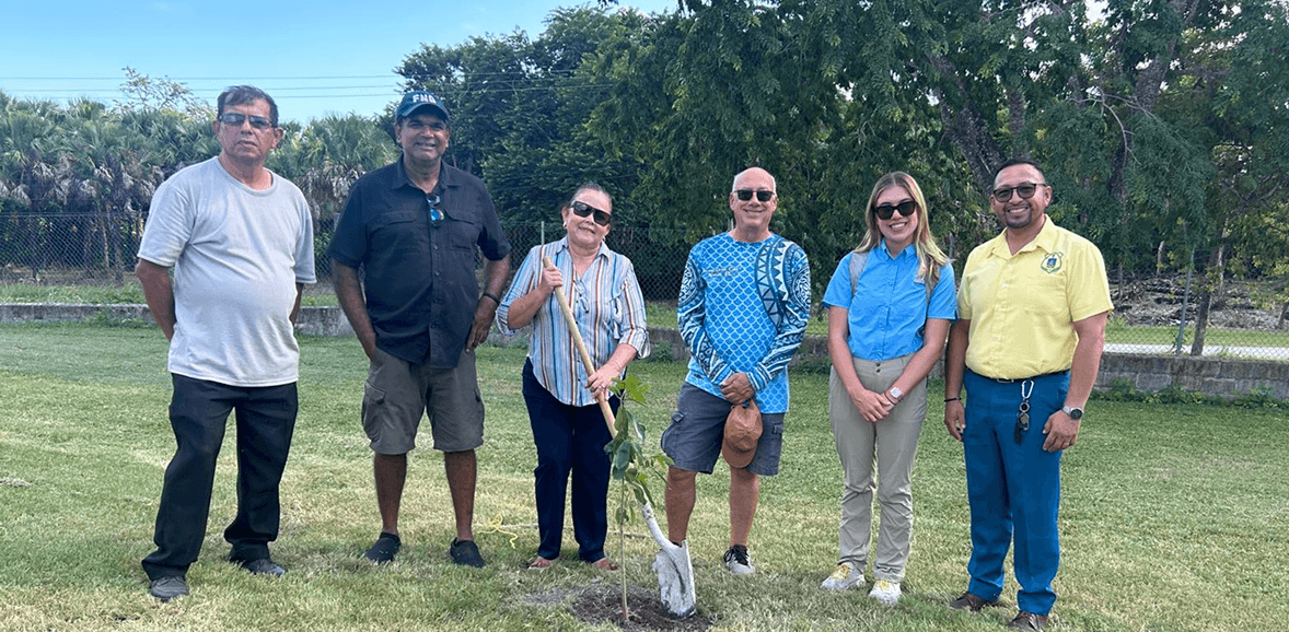 Transmission corridor